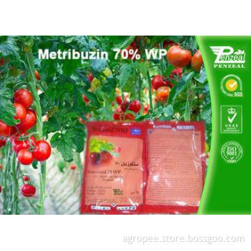 Pre Emergence Herbicides For Potatoes , Tomatoes , Sugar Ca